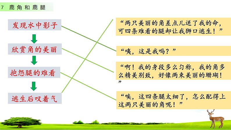 小学语文 部编版 三年级下册 第7课《鹿角和鹿腿》 第1课时课件08