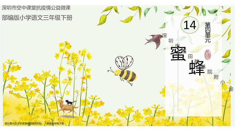 小学语文 部编版 三年级下册 第四单元第14课《蜜蜂》第一课时 课件03