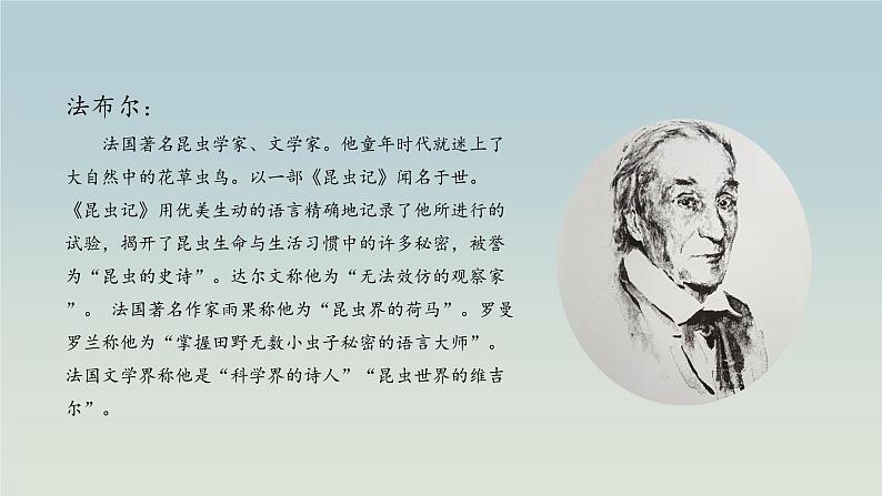 小学语文 部编版 三年级下册 第四单元第14课《蜜蜂》第一课时 课件06