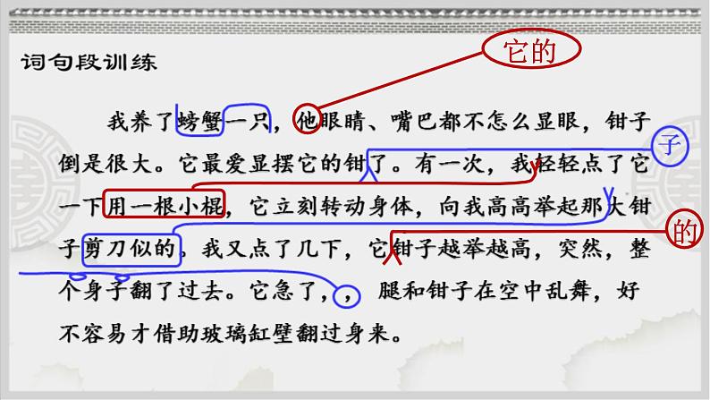 小学语文 部编版 三年级下册 第四单元《语文园地四》（第二课时） 课件第6页