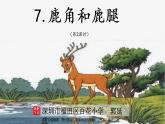 小学语文 部编版 三年级下册 第7课《鹿角和鹿腿》第2课时课件