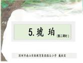 小学语文 部编版 四年级《琥珀》（第二课时）课件