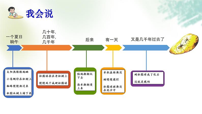 小学语文 部编版 四年级《琥珀》（第二课时）课件03