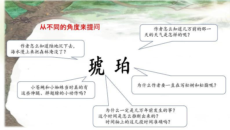 小学语文 部编版 四年级《琥珀》（第二课时）课件07