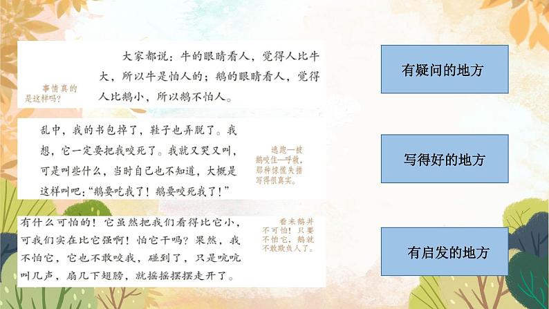 小学语文 部编版 四年级《 一只窝囊的大老虎》第一课时 课件08