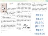 小学语文 部编版 四年级《白鹅》（第二课时）课件