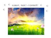 小学语文 部编版 四年级《在天晴了的时候》课件