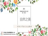 小学语文 部编版 四年级上册 第一单元 自然之美4《繁星》课件