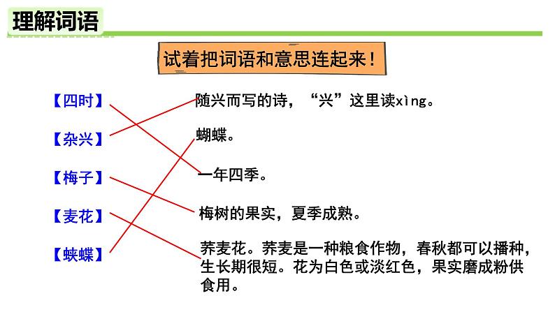 小学语文 部编版 四年级《古诗词三首》第一课时 《四时田园杂兴》（其二十五）课件第8页