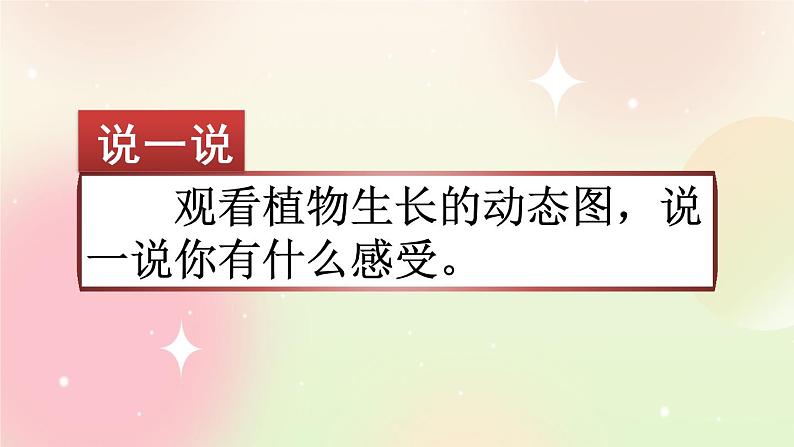 统编版4上语文 3.5 习作：写观察日记 课件+教案01