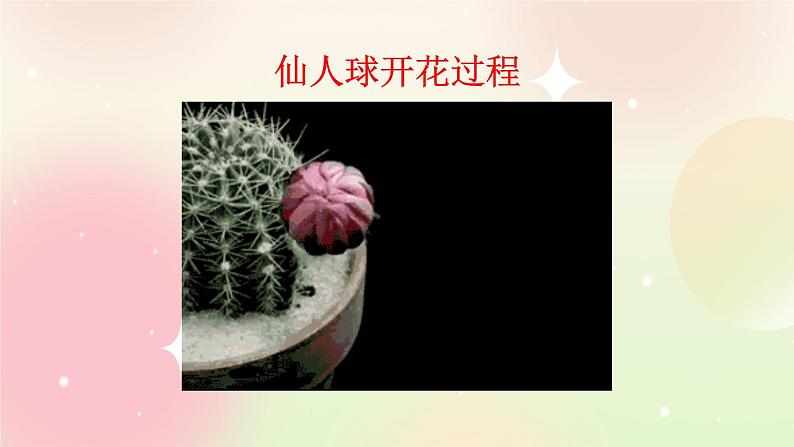 统编版4上语文 3.5 习作：写观察日记 课件+教案02