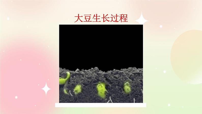 统编版4上语文 3.5 习作：写观察日记 课件+教案03