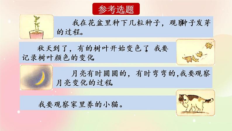 统编版4上语文 3.5 习作：写观察日记 课件+教案08