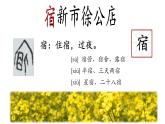 小学语文 部编版 四年级下册《 古诗词三首》第二课时 《宿新市徐公店》课件