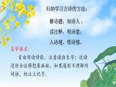 小学语文 部编版 四年级下册《 古诗词三首》第二课时 《宿新市徐公店》课件
