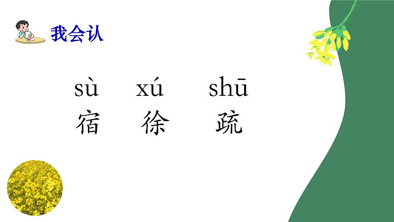 小学语文 部编版 四年级下册《 古诗词三首》第二课时 《宿新市徐公店》课件06