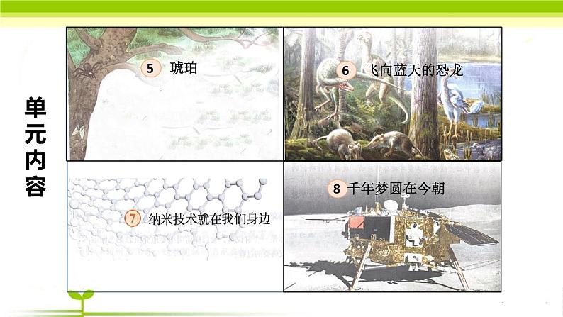 小学语文 部编版 四年级下《语文园地二》 课件第4页