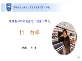 小学语文 部编版 四年级下 第三单元《白桦》第二课时课件