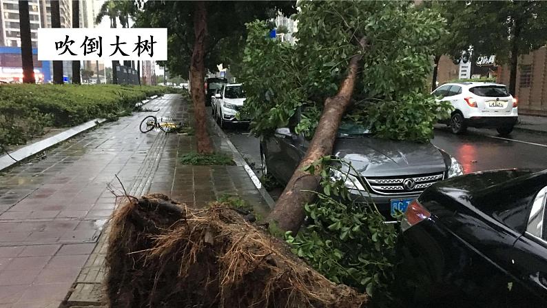 风娃娃  课件  部编版语文二年级上册07