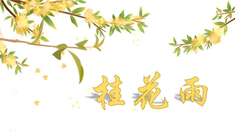 小学人教部编版3 桂花雨课文免费课件ppt-教习网|课件下载