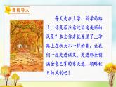 5 铺满金色巴掌的水泥道（课件）部编版语文三年级上册