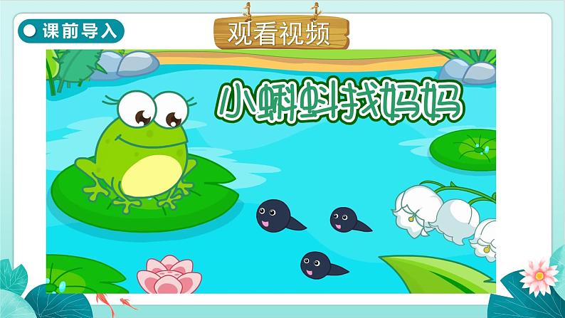 1 小蝌蚪找妈妈 （课件）部编版语文二年级上册01
