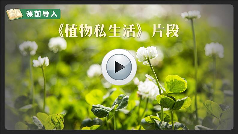 3 植物妈妈有办法第1页