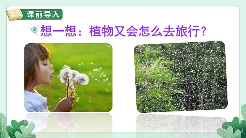 3 植物妈妈有办法第3页