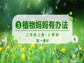 3 植物妈妈有办法 （课件）部编版语文二年级上册