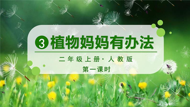 3 植物妈妈有办法第4页