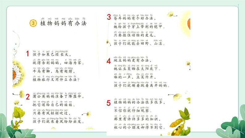3 植物妈妈有办法第7页