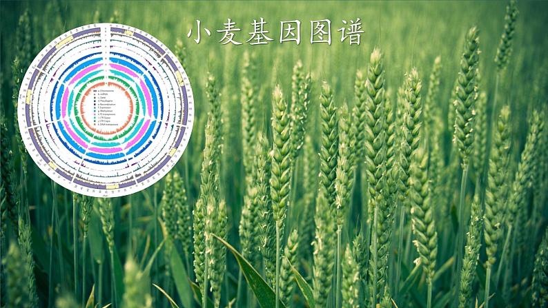 7-呼风唤雨的世纪第3页