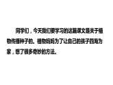 3 《植物妈妈有办法》课件 2022-2023学年部编版语文二年级上册