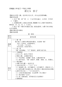 2021学年5 影子教案