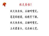 课文1-秋天（课件第2课时）