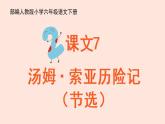 人教部编版语文六下：第7课《汤姆·索亚历险记（节选）》课件