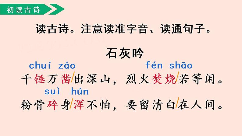 人教部编版语文六下：第10课《古诗三首-石灰吟》课件第5页