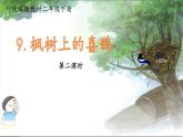 部编版 小学语文 二年级下册  9.枫树上的喜鹊第二课时 课件
