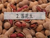 2.落花生 课件 2022-2023学年部编版语文五年级上册