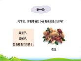 2.落花生 课件 2022-2023学年部编版语文五年级上册