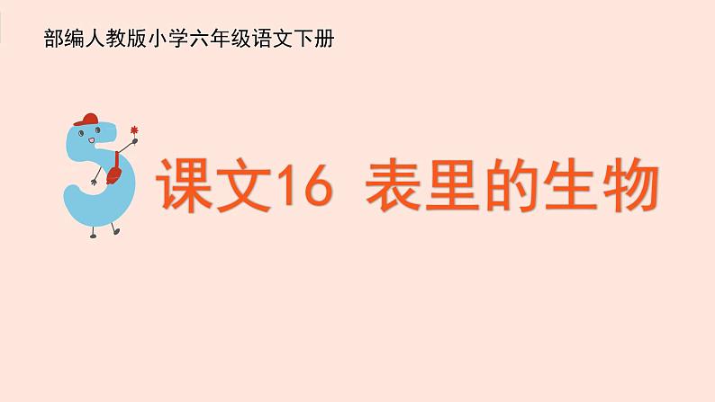 人教部编版语文六下：第16课《表里的生物》课件03
