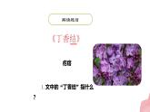 六年级上册语文课件-第1单元2《丁香结》课时2 人教部编版 (共30张PPT)