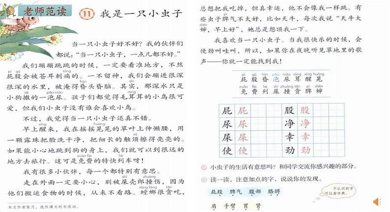 二年级下册语文 11.《我是一只小虫子》第一课时课件第4页