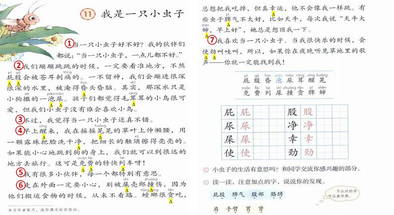 二年级下册语文 11.《我是一只小虫子》第一课时课件第6页