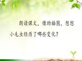 二年级下册语文 22.《小毛虫》第2课时 课件