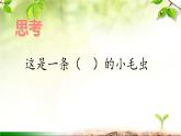 二年级下册语文 22.《小毛虫》第2课时 课件
