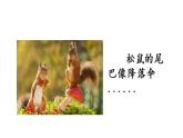 第一单元  口语交际《有趣的动物》课件 2022-2023学年部编版语文二年级上册