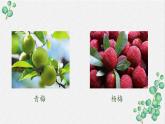 小学语文 五年级《杨氏之子》教学 课件