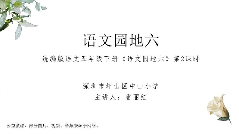 小学语文 五年级下《语文园地六》第二课时 课件第1页