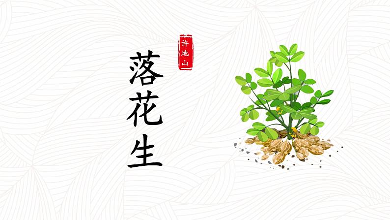 小学语文 五年级《落花生》第一课时 课件第7页